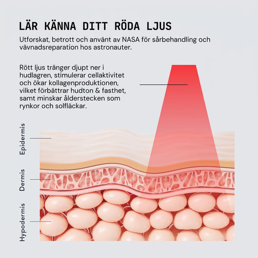 Halia rödljusterapi enhet | 4-in-1 Rödljust, EMS, Soniska vibrationer & Värmestav
